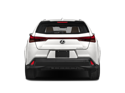 2024 Lexus UX 250h Premium