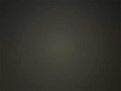 2010 Honda Accord LX 2.4