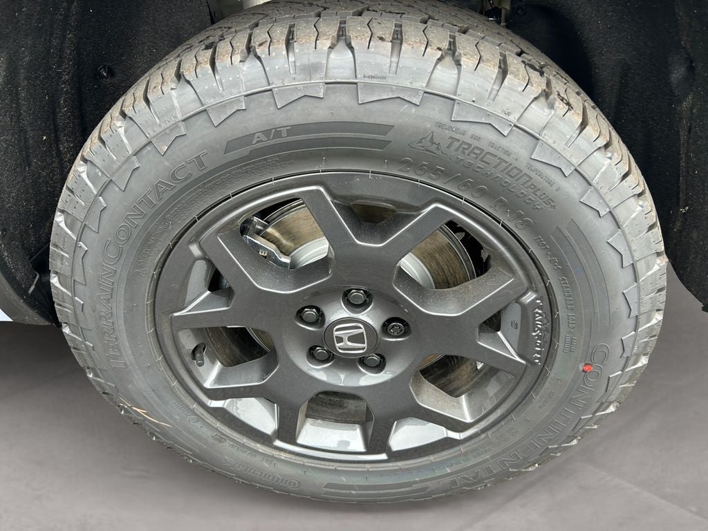 2026 Honda Pilot TrailSport