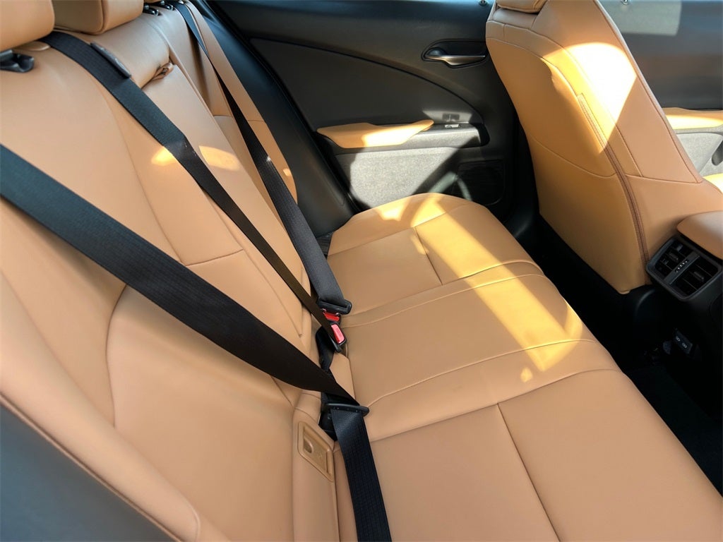 2025 Lexus UX 300h Premium