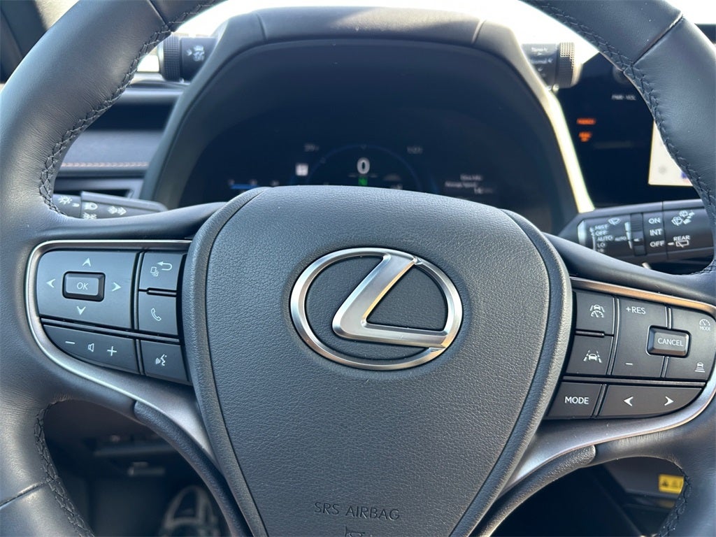 2025 Lexus UX 300h Premium