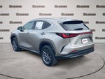 2023 Lexus NX 350 350 Premium