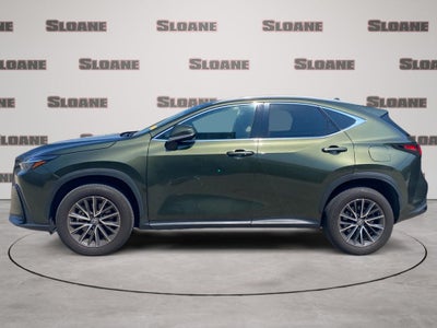 2024 Lexus NX 350 Premium