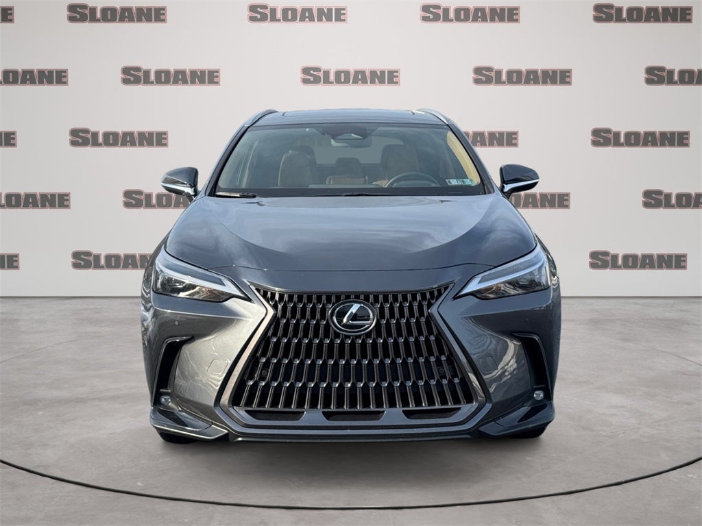2024 Lexus NX 350h 350h Premium