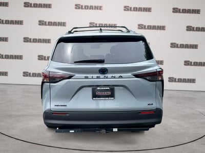 2025 Toyota SIENNA XLE AWD Woodland Edition